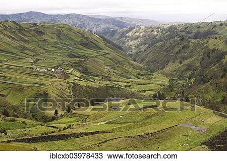 "Fields in the mountains, near Ambato, Tungurahua Province, Ecuador, South America" View Large Photo Image Stock Image - "Fields in the mountains, near Ambato, Tungurahua Province, Ecuador, South America". Fotosearch