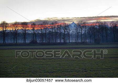 "Fields with rows of trees in front of Monte Viso or Monviso, Stupinigi, Turin, Piedmont, Italy, Europe" View Large Photo Image Stock Photo - "Fields with rows of trees in front of Monte Viso or Monviso, Stupinigi, Turin, Piedmont, Italy, Europe". Fotosearch