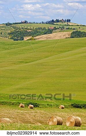 "Fields with straw bales, Val d'Orcia, Orcia Valley, Pienza, Siena Province, Tuscany, Italy, Europe" View Large Photo Image Picture - "Fields with straw bales, Val d'Orcia, Orcia Valley, Pienza, Siena Province, Tuscany, Italy, Europe". Fotosearch