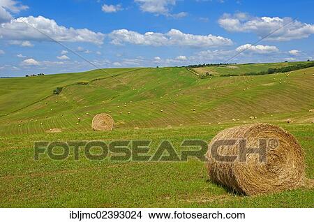 "Fields with straw bales, Val d'Orcia, Orcia Valley, Pienza, Siena Province, Tuscany, Italy, Europe" View Large Photo Image Picture - "Fields with straw bales, Val d'Orcia, Orcia Valley, Pienza, Siena Province, Tuscany, Italy, Europe". Fotosearch