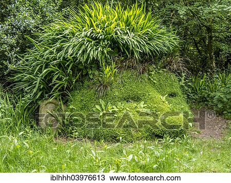 "Figure made of plants in the Lost Gardens of Heligan, Cornwall, England, United Kingdom, Europe" View Large Photo Image Stock Image - "Figure made of plants in the Lost Gardens of Heligan, Cornwall, England, United Kingdom, Europe". Fotosearch