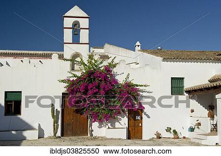 "Finca near Conil de la Frontera, Cadiz province, Costa de la Luz, Andalusia, Spain, Europe" View Large Photo Image Stock Image - "Finca near Conil de la Frontera, Cadiz province, Costa de la Luz, Andalusia, Spain, Europe". Fotosearch