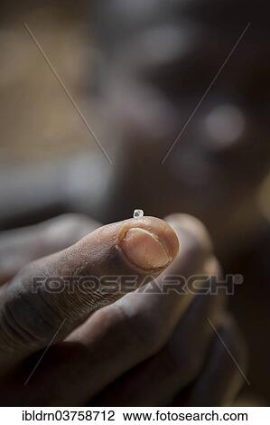 "Find by a diamond miner, small diamond, approx two carat, Kenema, Eastern Province, Sierra Leone, Africa" View Large Photo Image Stock Image - "Find by a diamond miner, small diamond, approx two carat, Kenema, Eastern Province, Sierra Leone, Africa". Fotosearch