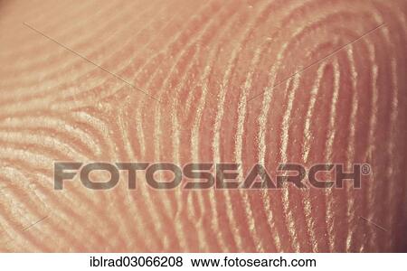 Fingerprint View Large Photo Image Stock Photo - Fingerprint. Fotosearch