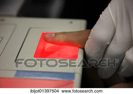 "Fingerprints and handprints being recorded by digital scanner, physical identification of a suspect in a criminal investigation by the Criminal Investigation Department, re-enacted scene" View Large Photo Image Picture - "Fingerprints and handprints being recorded by digital scanner, physical identification of a suspect in a criminal investigation by the Criminal Investigation Department, re-enacted scene". Fotosearch
