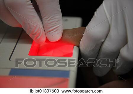 "Fingerprints and handprints being recorded by digital scanner, physical identification of a suspect in a criminal investigation by the Criminal Investigation Department, re-enacted scene" View Large Photo Image Stock Image - "Fingerprints and handprints being recorded by digital scanner, physical identification of a suspect in a criminal investigation by the Criminal Investigation Department, re-enacted scene". Fotosearch