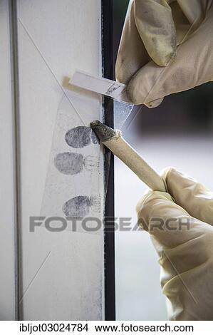 "Fingerprints on a window, forensics after a break-in, burglary, Germany, Europe" View Large Photo Image Picture - "Fingerprints on a window, forensics after a break-in, burglary, Germany, Europe". Fotosearch