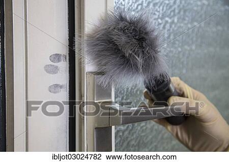 "Fingerprints on a window, forensics after a break-in, burglary, Germany, Europe" View Large Photo Image Stock Image - "Fingerprints on a window, forensics after a break-in, burglary, Germany, Europe". Fotosearch