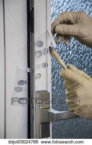 "Fingerprints on a window, forensics after a break-in, burglary, Germany, Europe" View Large Photo Image Stock Photograph - "Fingerprints on a window, forensics after a break-in, burglary, Germany, Europe". Fotosearch