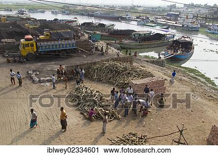 "Firewood stored for sale on the shore, men circling the seller, carriers carrying coal from a barge to a truck at the rear, the Turag River, Gabtoli, Dhaka, Bangladesh, South Asia, Asia" View Large Photo Image Stock Image - "Firewood stored for sale on the shore, men circling the seller, carriers carrying coal from a barge to a truck at the rear, the Turag River, Gabtoli, Dhaka, Bangladesh, South Asia, Asia". Fotosearch