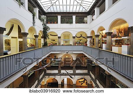 "First floor, Paleontological Museum, Munich, Bavaria, Germany, Europe" View Large Photo Image Stock Image - "First floor, Paleontological Museum, Munich, Bavaria, Germany, Europe". Fotosearch