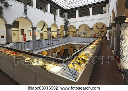 "First floor, Paleontological Museum, Munich, Bavaria, Germany, Europe" View Large Photo Image Stock Image - "First floor, Paleontological Museum, Munich, Bavaria, Germany, Europe". Fotosearch