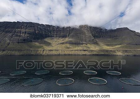 "Fish farm, Borooy, Norooyar, Faroe Islands, Denmark, Europe" View Large Photo Image Stock Image - "Fish farm, Borooy, Norooyar, Faroe Islands, Denmark, Europe". Fotosearch