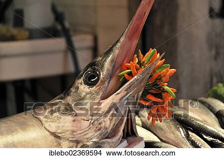 "Fish, fish market, Campo de la Pescaria, Rialto Market, San Polo district, Venice, Veneto, Italy, Europe" View Large Photo Image Picture - "Fish, fish market, Campo de la Pescaria, Rialto Market, San Polo district, Venice, Veneto, Italy, Europe". Fotosearch