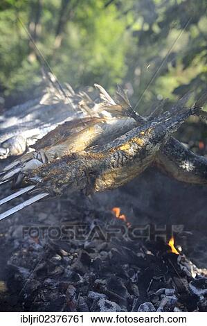"Fish grilled on skewers in a beer garden, Munich, Bavaria, Germany, Europe" View Large Photo Image Stock Image - "Fish grilled on skewers in a beer garden, Munich, Bavaria, Germany, Europe". Fotosearch