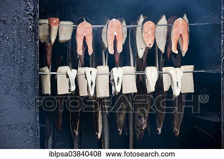 Stock Photo - "Fish in the smoker, Prerow, Darss, Mecklenburg-Western Pomerania, Germany, Europe". Fotosearch