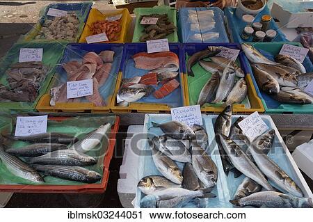 "Fish market on Place Saint-Francois square, city centre, Nice, Departement Alpes-Maritimes, Region Provence-Alpes-Cote d’Azur, France, Europe" View Large Photo Image Stock Image - "Fish market on Place Saint-Francois square, city centre, Nice, Departement Alpes-Maritimes, Region Provence-Alpes-Cote d’Azur, France, Europe". Fotosearch