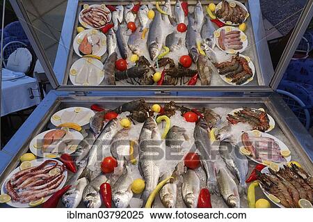 "Fish on display at a restaurant, Marmaris, Mugla Province, Aegean, Turkey, Asia" View Large Photo Image Stock Photography - "Fish on display at a restaurant, Marmaris, Mugla Province, Aegean, Turkey, Asia". Fotosearch