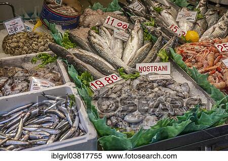 Stock Photography - "Fish, prawns and squid at market stall, fish market, Campo della Pescaria, Venice, Italy, Europe". Fotosearch