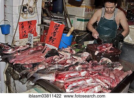"Fish stall at the Red Market, Macau, China, Asia" View Large Photo Image Stock Image - "Fish stall at the Red Market, Macau, China, Asia". Fotosearch