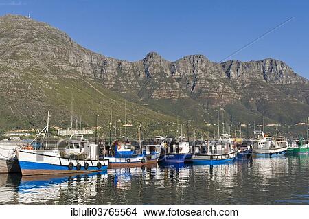 "Fish trawlers in the harbor of Hout Bay, Cape Town, Western Cape, South Africa, Africa" View Large Photo Image Picture - "Fish trawlers in the harbor of Hout Bay, Cape Town, Western Cape, South Africa, Africa". Fotosearch