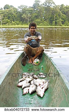 "Fisherman, 28 years, sitting in a dugout canoe and holding a Roncador or Freshwater drum in his hands, Laguna Penitencia, Tortuguero National Park, Limon Province, Costa Rica, North America" View Large Photo Image Stock Image - "Fisherman, 28 years, sitting in a dugout canoe and holding a Roncador or Freshwater drum in his hands, Laguna Penitencia, Tortuguero National Park, Limon Province, Costa Rica, North America". Fotosearch