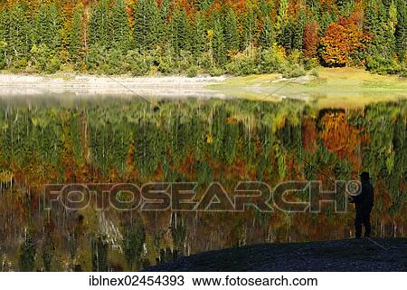 "Fisherman at Lake Mittersee, autumn trees reflecting in the lake, Seegatterl, Reit im Winkl, Chiemgau, Upper Bavaria, Bavaria, Germany, Europe" View Large Photo Image Stock Image - "Fisherman at Lake Mittersee, autumn trees reflecting in the lake, Seegatterl, Reit im Winkl, Chiemgau, Upper Bavaria, Bavaria, Germany, Europe". Fotosearch