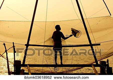 "Fisherman holding a landing net in front of a Chinese fishing net at sunrise, Vembanad lake, Kerala, India, Asia" View Large Photo Image Stock Image - "Fisherman holding a landing net in front of a Chinese fishing net at sunrise, Vembanad lake, Kerala, India, Asia". Fotosearch