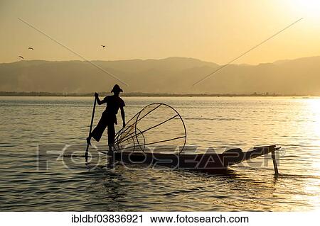 "Fisherman in the evening light, leg rower with a traditional basket on the canoe, sunset at Inle Lake, Shan State, Myanmar, Asia" View Large Photo Image Stock Image - "Fisherman in the evening light, leg rower with a traditional basket on the canoe, sunset at Inle Lake, Shan State, Myanmar, Asia". Fotosearch