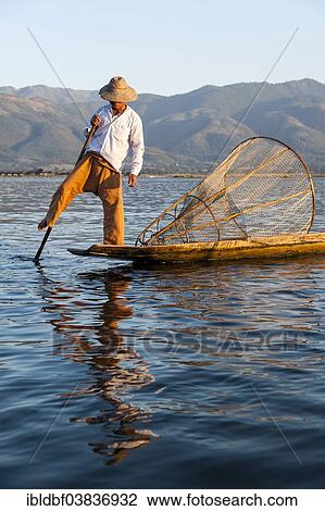 "Fisherman, leg rower with a traditional basket on the canoe, Inle Lake, Shan State, Myanmar, Asia" View Large Photo Image Stock Image - "Fisherman, leg rower with a traditional basket on the canoe, Inle Lake, Shan State, Myanmar, Asia". Fotosearch