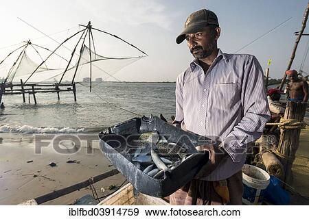 Stock Photo - "Fisherman presenting his catch, Cheena vala or Chinese fishing nets at the back, Kochi, Kerala, India, Asia". Fotosearch