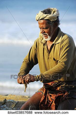 Stock Photo - "Fisherman taking small fish out of the net, on the beach, Arabian Sea, Varkala, Kerala, South India, India, Asia". Fotosearch