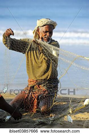Stock Photograph - "Fisherman taking small fish out of the net, on the beach, Arabian Sea, Varkala, Kerala, South India, India, Asia". Fotosearch