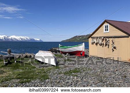 "Fisherman's hut with boats and the sea, Grenivik, Iceland, Europe" View Large Photo Image Picture - "Fisherman's hut with boats and the sea, Grenivik, Iceland, Europe". Fotosearch