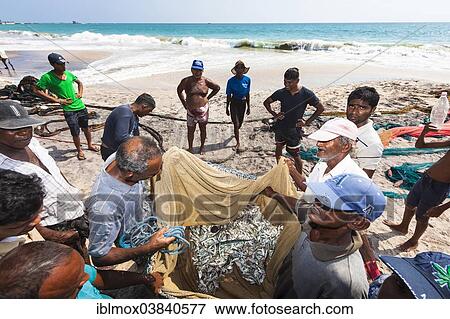 Stock Photo - "Fishermen, day labourers, examining a meagre catch in a net on the beach, near Kottegoda, Southern Province, Sri Lanka, Asia". Fotosearch