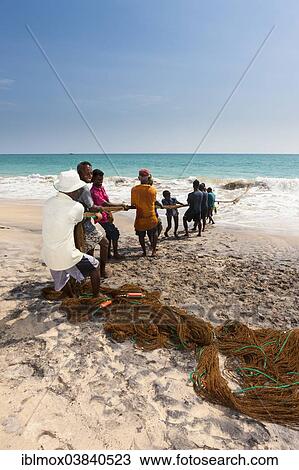 "Fishermen, day labourers, hauling in a net on the beach, near Kottegoda, Southern Province, Sri Lanka, Asia" View Large Photo Image Stock Image - "Fishermen, day labourers, hauling in a net on the beach, near Kottegoda, Southern Province, Sri Lanka, Asia". Fotosearch