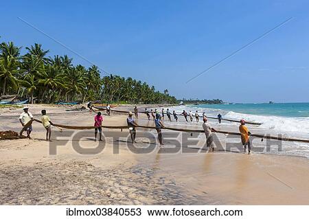 "Fishermen, day labourers, hauling in a net on the beach, near Kottegoda, Southern Province, Sri Lanka, Asia" View Large Photo Image Stock Image - "Fishermen, day labourers, hauling in a net on the beach, near Kottegoda, Southern Province, Sri Lanka, Asia". Fotosearch