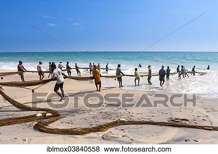 "Fishermen, day labourers, hauling in a net on the beach, near Kottegoda, Southern Province, Sri Lanka, Asia" View Large Photo Image Stock Photo - "Fishermen, day labourers, hauling in a net on the beach, near Kottegoda, Southern Province, Sri Lanka, Asia". Fotosearch
