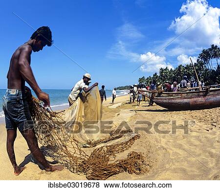 "Fishermen repairing a fishing net on the beach, Beruwala, Kalutara Distrikt, Sri Lanka, Asia" View Large Photo Image Stock Photo - "Fishermen repairing a fishing net on the beach, Beruwala, Kalutara Distrikt, Sri Lanka, Asia". Fotosearch