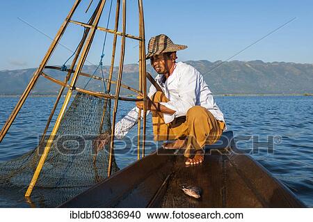 "Fishermen with a traditional basket, caught fish in the canoe, Inle Lake, Shan State, Myanmar, Asia" View Large Photo Image Stock Image - "Fishermen with a traditional basket, caught fish in the canoe, Inle Lake, Shan State, Myanmar, Asia". Fotosearch