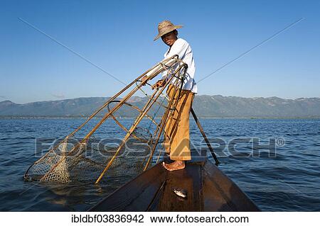 "Fishermen with a traditional basket, caught fish in the canoe, Inle Lake, Shan State, Myanmar, Asia" View Large Photo Image Stock Image - "Fishermen with a traditional basket, caught fish in the canoe, Inle Lake, Shan State, Myanmar, Asia". Fotosearch