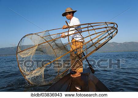 "Fishermen with a traditional basket, caught fish in the canoe, Inle Lake, Shan State, Myanmar, Asia" View Large Photo Image Stock Image - "Fishermen with a traditional basket, caught fish in the canoe, Inle Lake, Shan State, Myanmar, Asia". Fotosearch