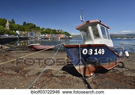 "Fishing boat at the harbour, Tobermory, Isle of Mull, Scotland, United Kingdom, Europe" View Large Photo Image Stock Photograph - "Fishing boat at the harbour, Tobermory, Isle of Mull, Scotland, United Kingdom, Europe". Fotosearch