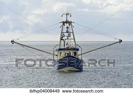 "Fishing boat off Pellworm island, North Frisia, Schleswig-Holstein, Germany, Europe" View Large Photo Image Stock Photo - "Fishing boat off Pellworm island, North Frisia, Schleswig-Holstein, Germany, Europe". Fotosearch