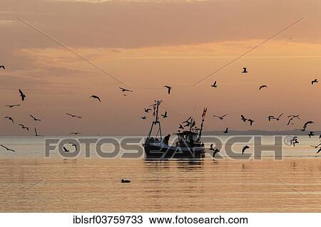 "Fishing boat on the Baltic coast, Bay of Lubeck, Schleswig-Holstein, Germany, Europe" View Large Photo Image Stock Image - "Fishing boat on the Baltic coast, Bay of Lubeck, Schleswig-Holstein, Germany, Europe". Fotosearch