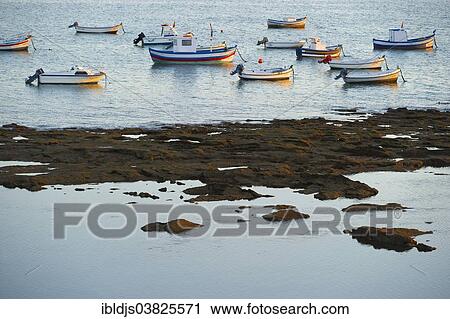 "Fishing boats in the evening light, Cadiz, Andalusia, Spain, Europe" View Large Photo Image Stock Image - "Fishing boats in the evening light, Cadiz, Andalusia, Spain, Europe". Fotosearch