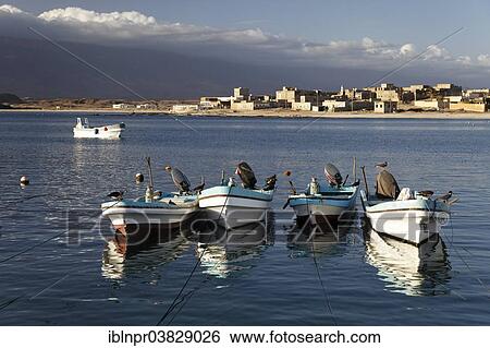 Stock Photograph - "Fishing boats, port of Mirbat, Dhofar region, Sultanate of Oman, Arabian Peninsula". Fotosearch