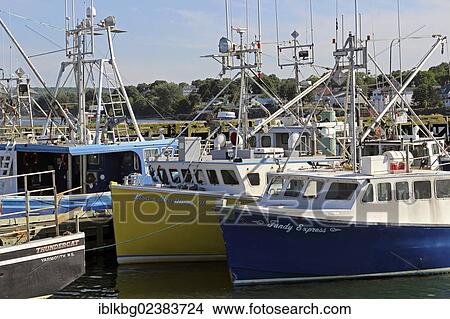 Picture - "Fishing fleet at pier, Digby, Bay of Fundy, Maritime Provinces, Nova Scotia, Canada, North America". Fotosearch