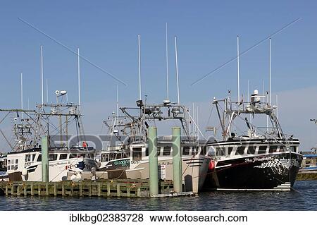 "Fishing fleet at pier, Digby, Bay of Fundy, Maritime Provinces, Nova Scotia, Canada, North America" View Large Photo Image Stock Photo - "Fishing fleet at pier, Digby, Bay of Fundy, Maritime Provinces, Nova Scotia, Canada, North America". Fotosearch