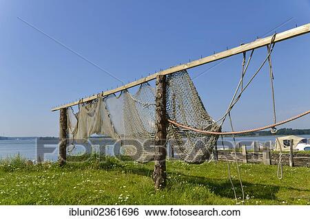 "Fishing nets at the historic port of Maasholm, Schleswig-Holstein, Germany, Europe" View Large Photo Image Stock Photograph - "Fishing nets at the historic port of Maasholm, Schleswig-Holstein, Germany, Europe". Fotosearch